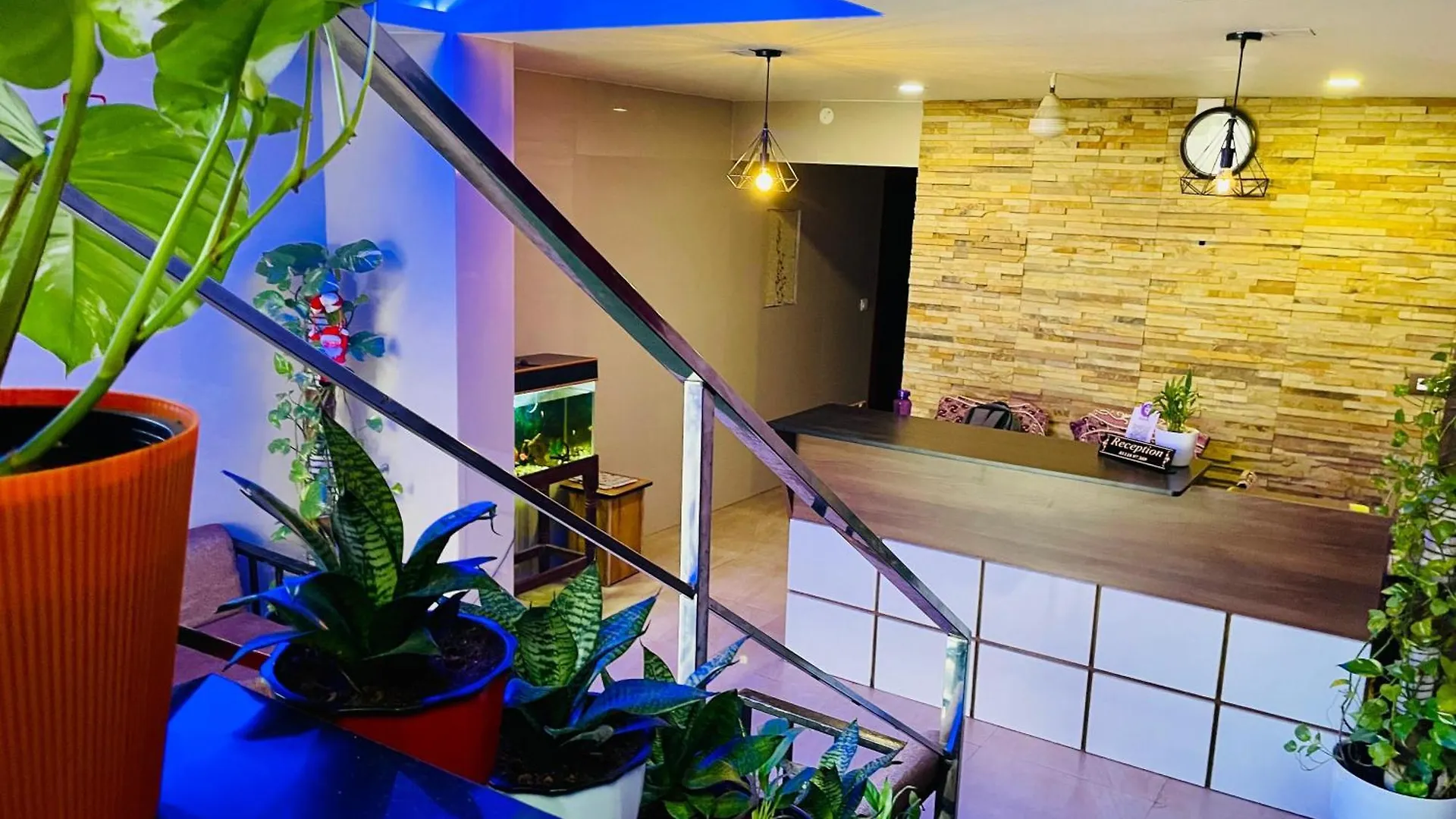 Meridin Regency Kochi Homestay